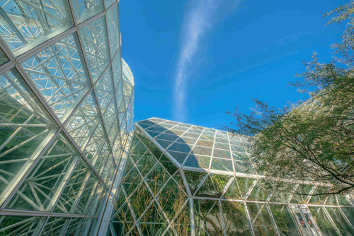 Greenhouse and the blue sky